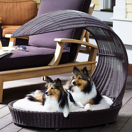 Pet Beds & Comforters For Dogs and Cats