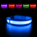 LED DOG COLLAR