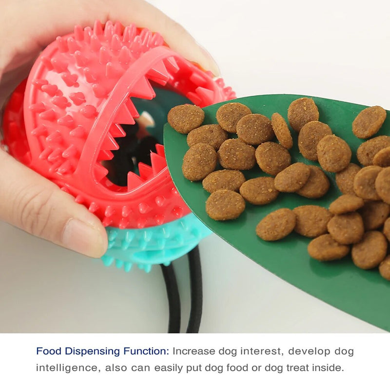 Close-up of a person filling a turquoise and pink spiked dog toy ball with kibble. The ball has an open, jagged mouth design that allows the food to be easily placed inside.