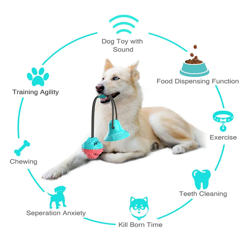 A Husky dog is lying down with a turquoise and pink spiked ball dog toy in its mouth, connected to a suction cup. Around the dog, icons and text highlight the toy's features, including sound, food dispensing, exercise, teeth cleaning, and separation anxiety relief.