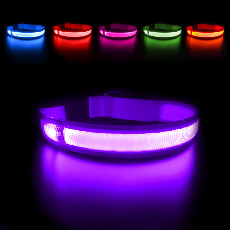 LED DOG COLLAR