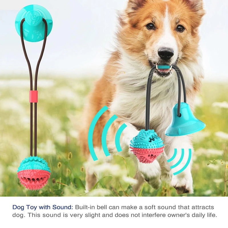 A happy Collie dog playing with a turquoise and pink spiked ball toy attached to a suction cup. The toy includes sound indicators suggesting it makes a soft bell sound. The dog is outdoors in a grassy field.