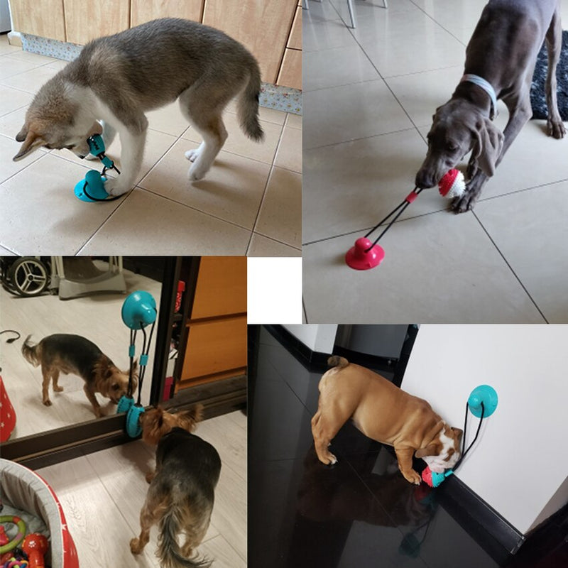 Dog Toys Silicon Suction Cup