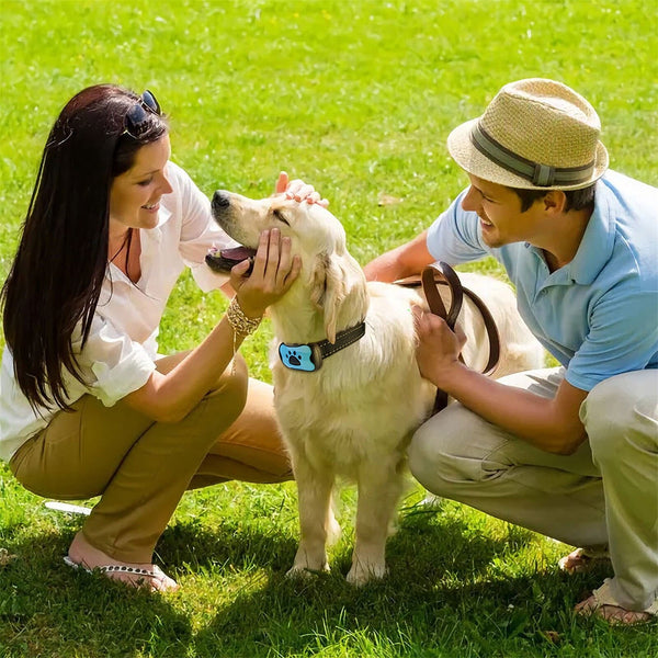 DOG ANTI BARKING DEVICE