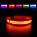 LED DOG COLLAR