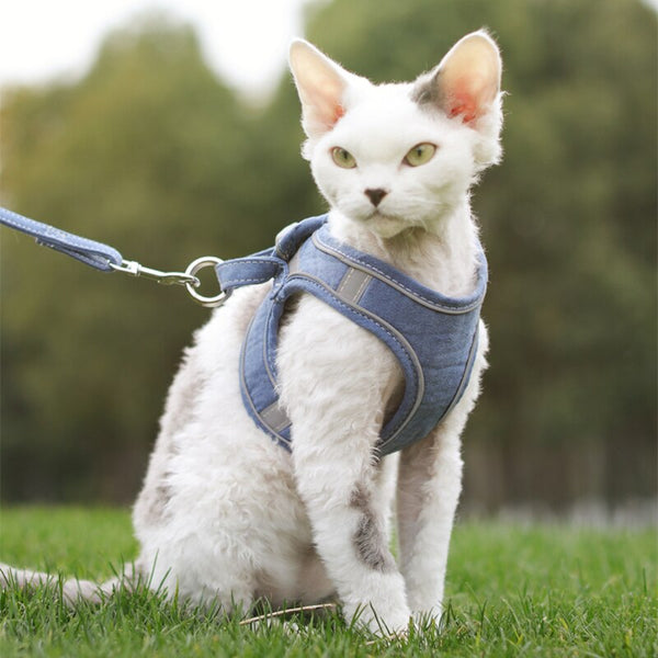 DOG CAT HARNESS VEST