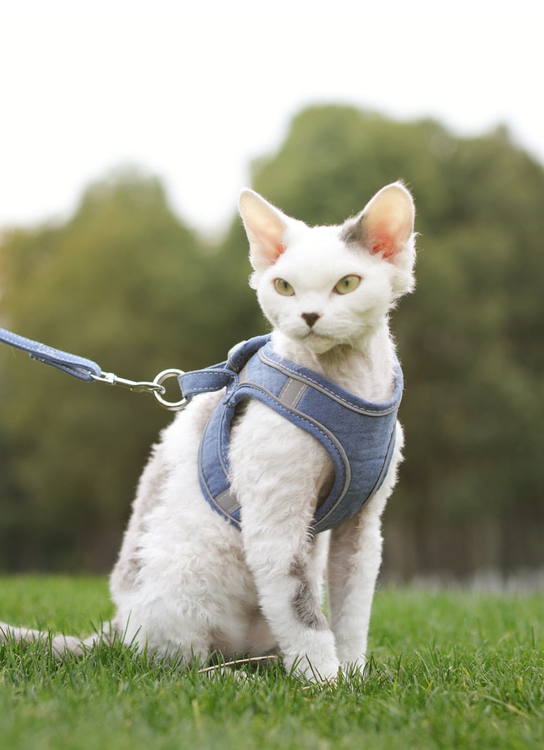 DOG CAT HARNESS VEST