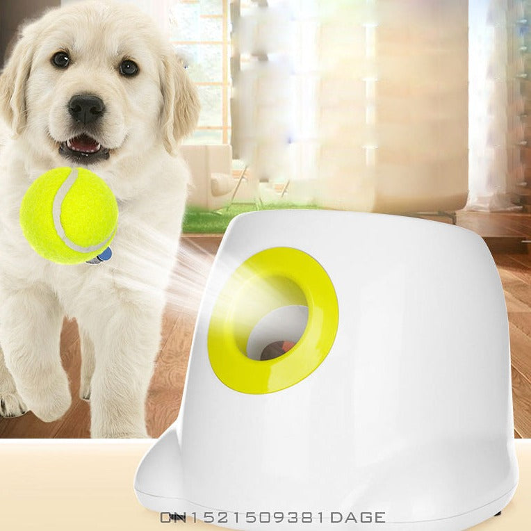 Pet Tennis Throwing Machine