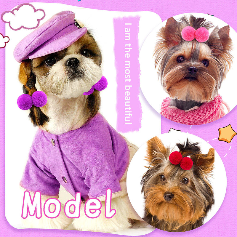 Fashion Pet Hair Accessories