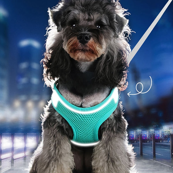 Dog Cat Harness Vest Chest Rope