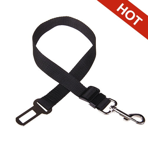 Pet Car Seat Belt