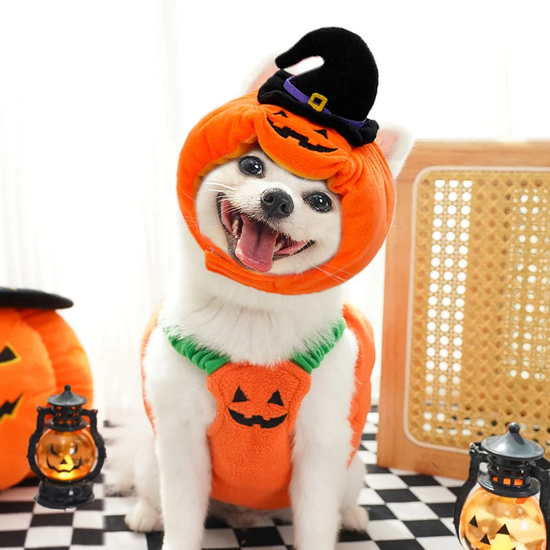 Pet Pumpkin Costume, Dog Funny Halloween Hat Cloth Suit, Adjustabe Cosplay Party Apparel for Cat Kitten Puppy