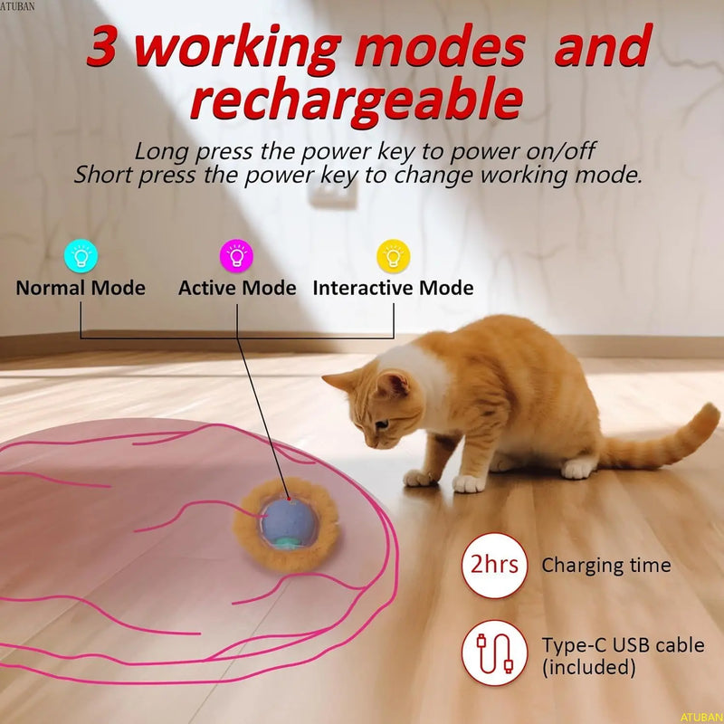 Motion-Activated Hide and Seek Cat Toy with Chirping Sounds