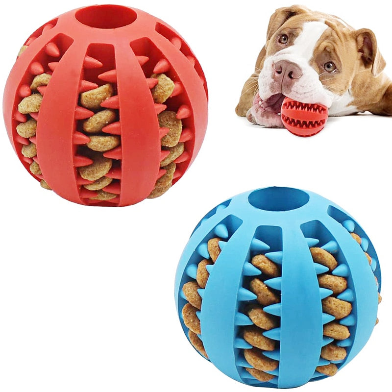 INTERACTIVE FOOD BALL TOY