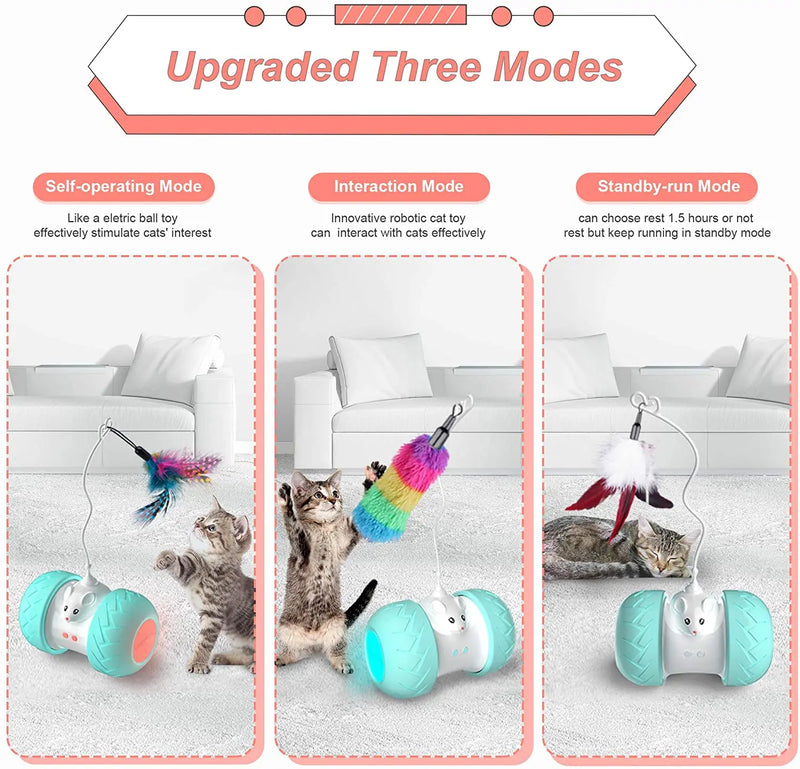 Automatic Interactive Cat Toys: Electronic Kitten Play with Mouse and Feathers