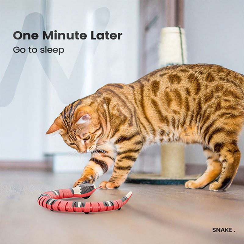 Interactive Smart Sensing Snake Cat Toy