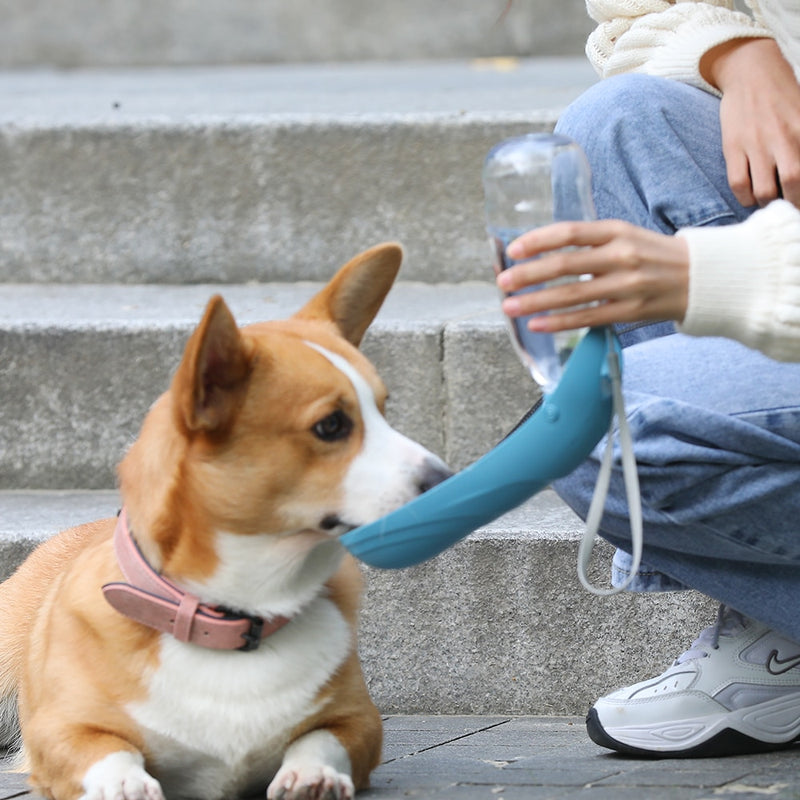 Dogs Kettle Drinker Portable Water Cup