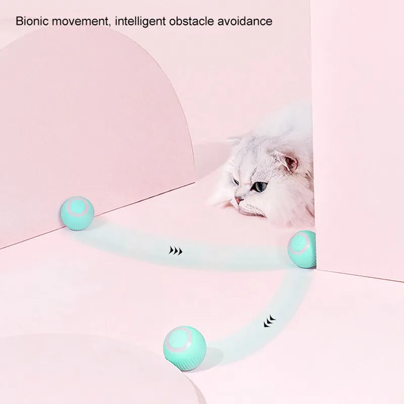 A white fluffy cat curiously watches a teal ball toy moving around a pink room. The ball is designed with bionic movement and intelligent obstacle avoidance, creating a playful and engaging environment for the cat.