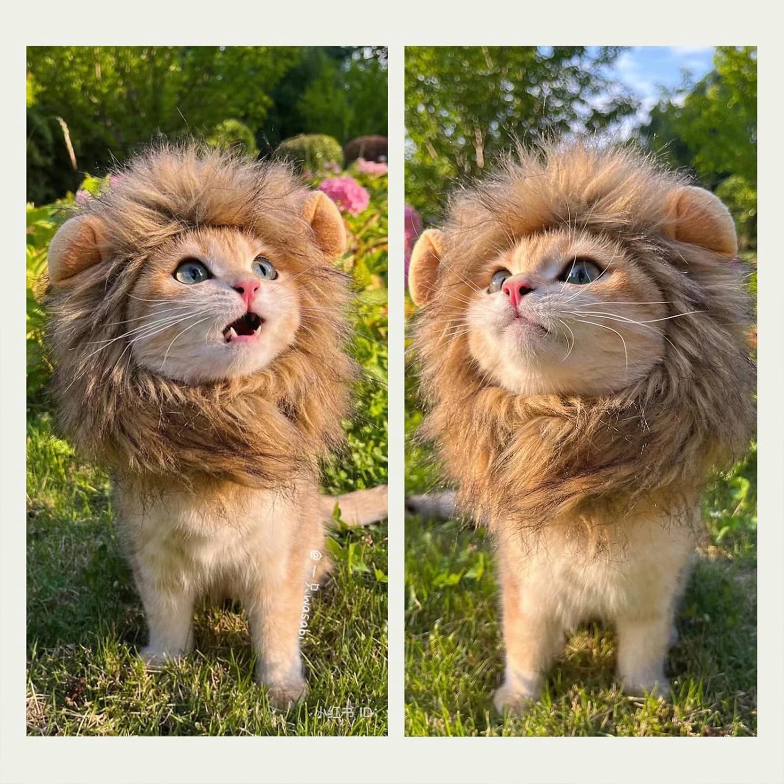 Lion Mane Cat Wig Halloween Costume