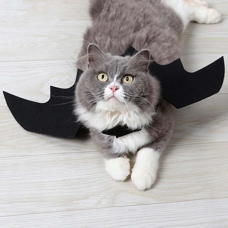 Bat Wings Costume, Small, Black Felt, for Dogs & Cats, Halloween Pet Apparel