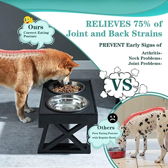 Elevated Dog Bowls with Adjustable Heights and Slow Feeder