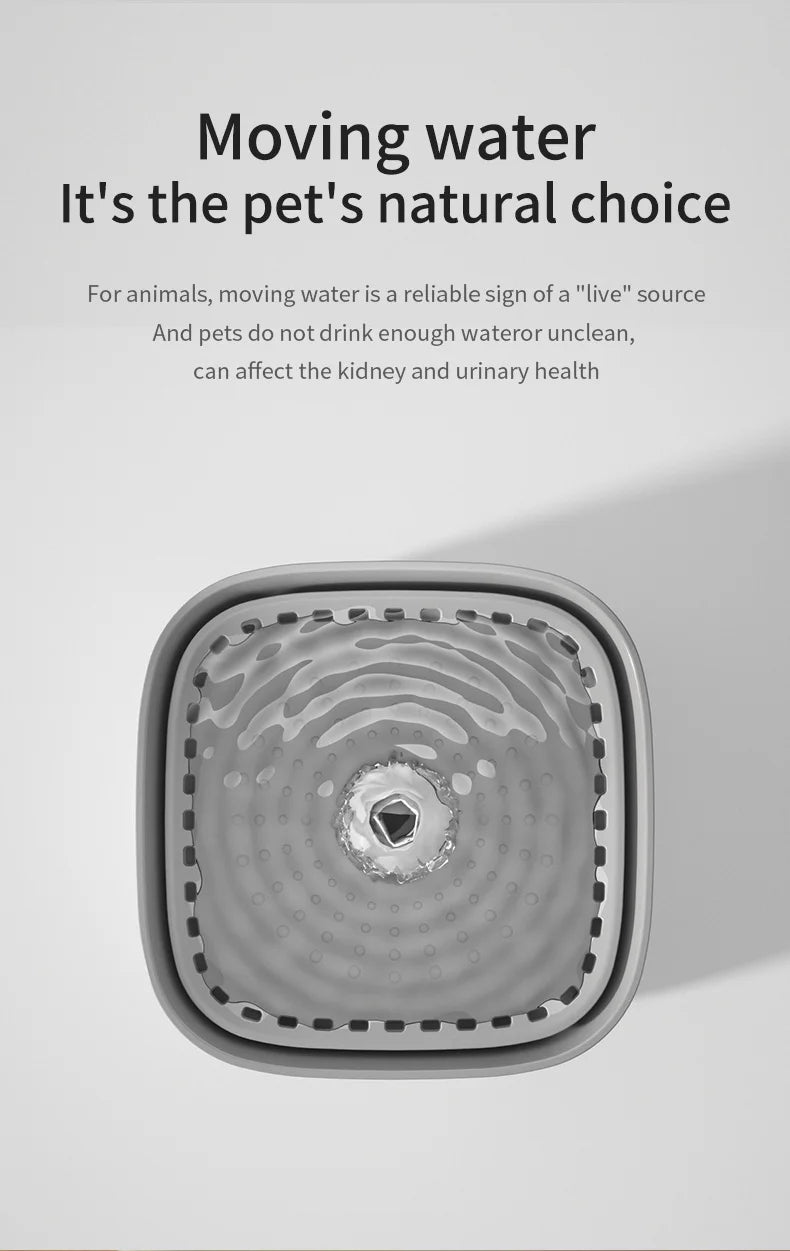 Quiet USB-powered cat dog water fountain