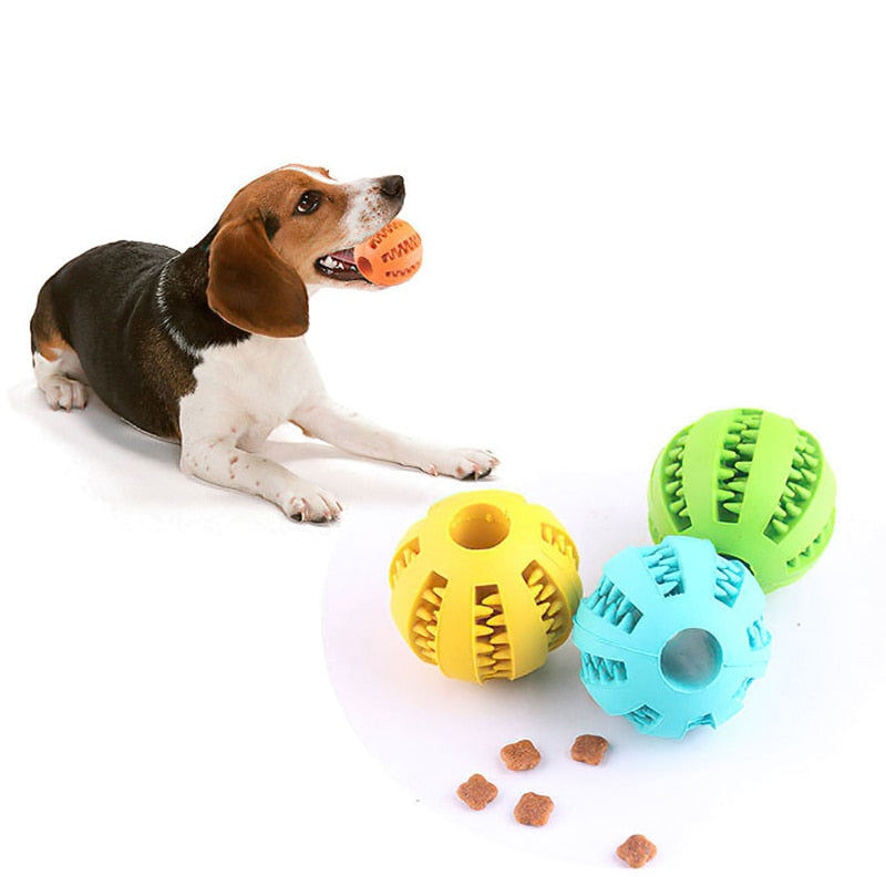 INTERACTIVE FOOD BALL TOY