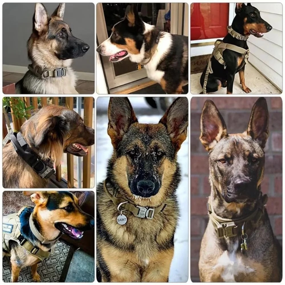 Tactical Dog Adjustable Collar