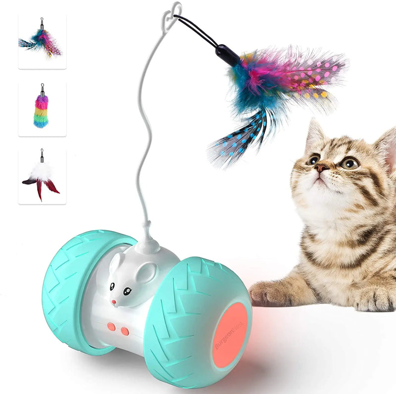 Automatic Interactive Cat Toys: Electronic Kitten Play with Mouse and Feathers