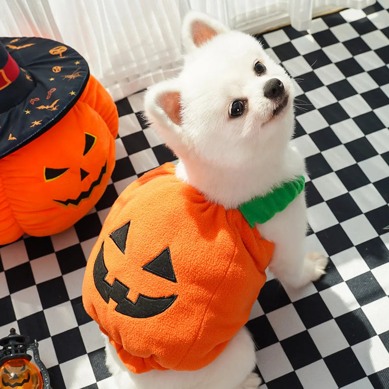 Pet Pumpkin Costume, Dog Funny Halloween Hat Cloth Suit, Adjustabe Cosplay Party Apparel for Cat Kitten Puppy