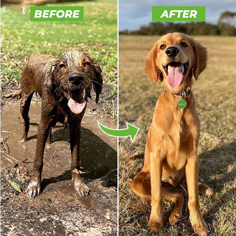 High-pressure Sprayer dog shower