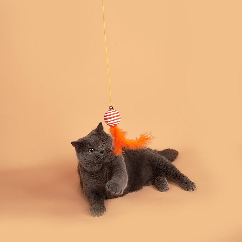 Interactive Hanging Simulation Cat Toy