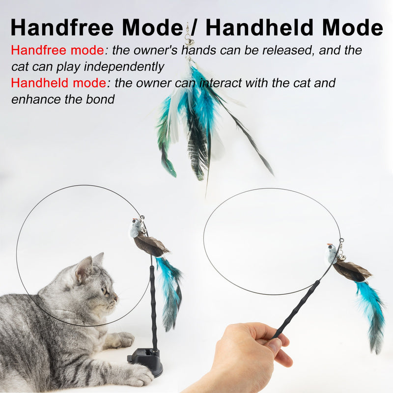 Kitten Hunting Exercise Toys