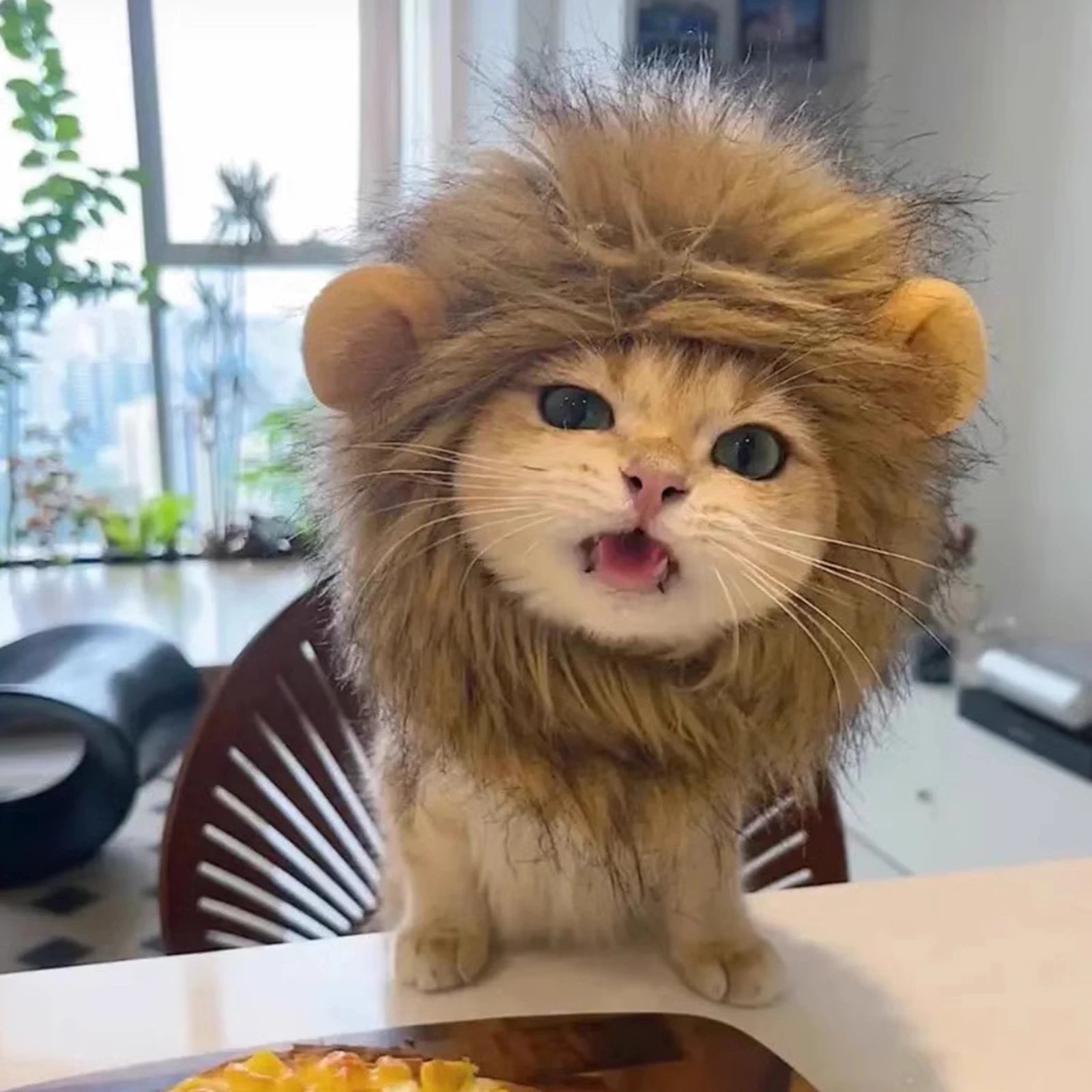 Lion Mane Cat Wig Halloween Costume