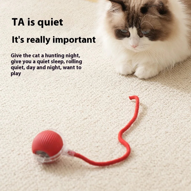 Interactive Dog Cat Ball, Active Rolling Ball for Dogs, Cat Toys Rolling Ball, Smart Interactive Dog Toys, Electric Cat Toy Ball Rechargeable