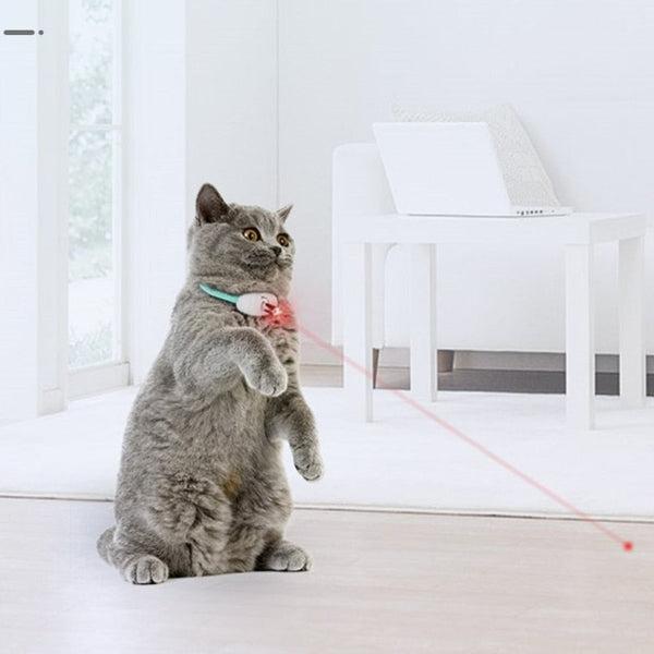 LASER COLLAR CAT TOY