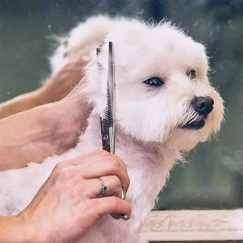 Safty Pet Grooming Scissors