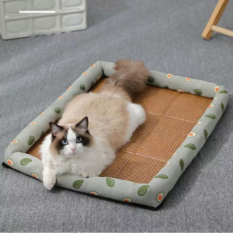 Lightweight Breathable Pet Mat