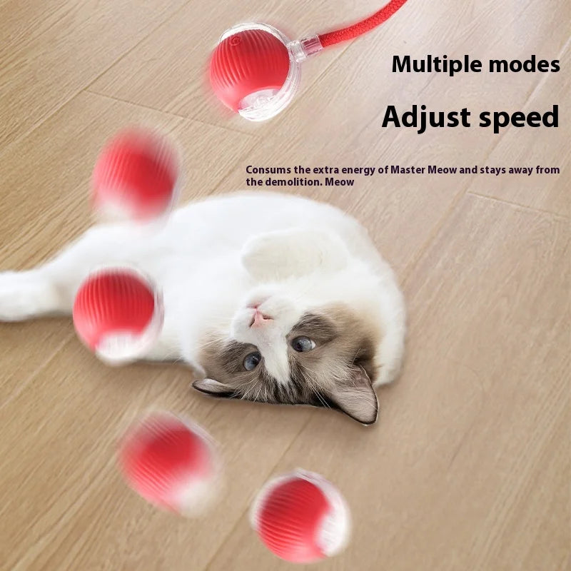 Interactive Dog Cat Ball, Active Rolling Ball for Dogs, Cat Toys Rolling Ball, Smart Interactive Dog Toys, Electric Cat Toy Ball Rechargeable