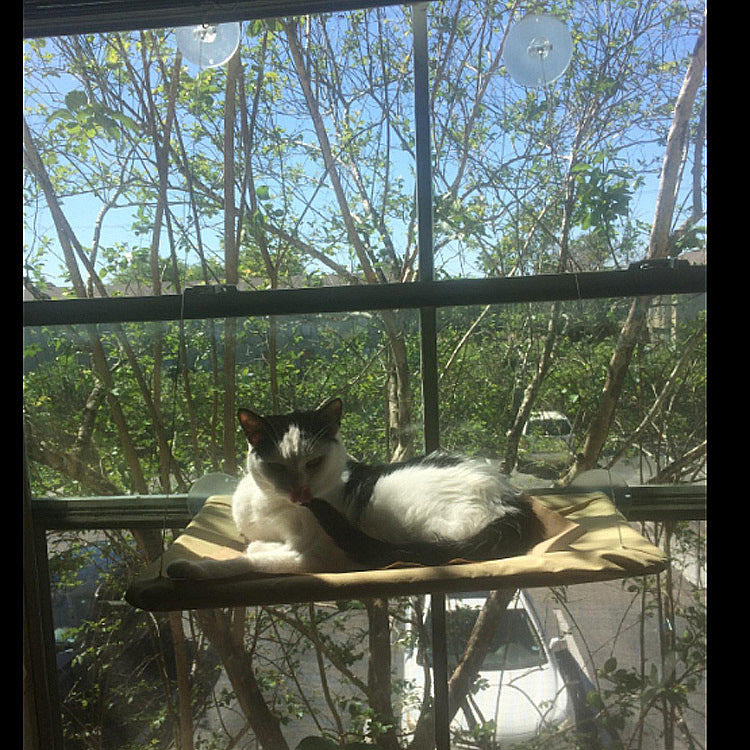 Cute Pet Hanging Beds