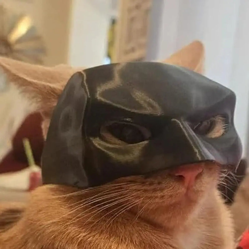 Cat Bat Mask, Funny Cat Bat Mask for Halloween