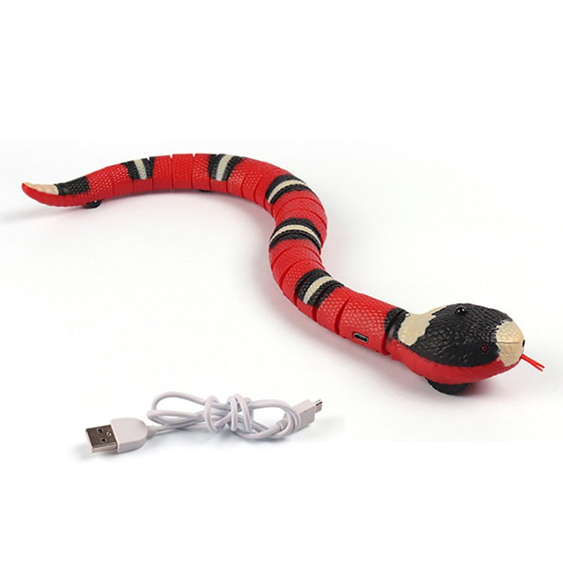 A red toy snake with black and yellow stripes is shown along with its USB charging cable. The snake toy is segmented and has a lifelike appearance, designed for interactive play with pets.