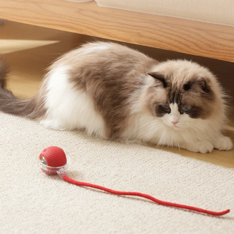 Interactive Dog Cat Ball, Active Rolling Ball for Dogs, Cat Toys Rolling Ball, Smart Interactive Dog Toys, Electric Cat Toy Ball Rechargeable