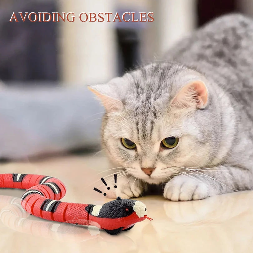 Remote Control Smart Electric Cat Toy,Interactive Cat Toys for Indoor Cats,Gravity Automatic Mobile Car Toy