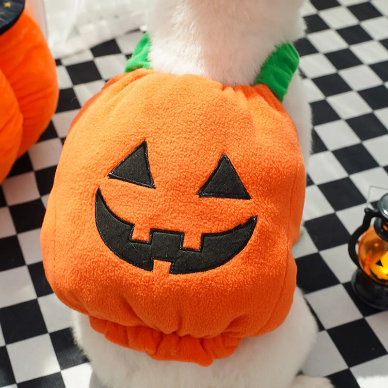 Pet Pumpkin Costume, Dog Funny Halloween Hat Cloth Suit, Adjustabe Cosplay Party Apparel for Cat Kitten Puppy