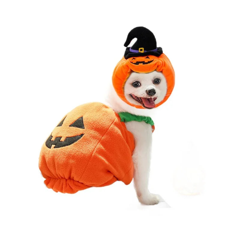 Pet Pumpkin Costume, Dog Funny Halloween Hat Cloth Suit, Adjustabe Cosplay Party Apparel for Cat Kitten Puppy