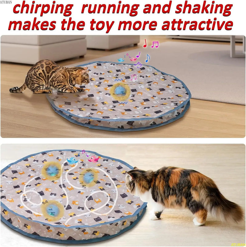 Motion-Activated Hide and Seek Cat Toy with Chirping Sounds