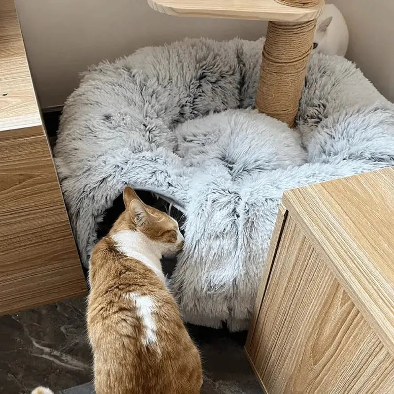 Plush Cat Tunnel with Cat Bed for Indoor Cats,Multifunctional Cat Toys for Small Medium Large Cat