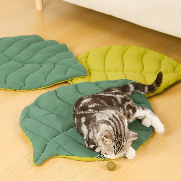 30 X 20 Inch Leaf Shaped Cotton Cat Bed Pad