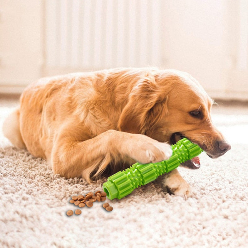 Best Chew toy for Puppies & Dogs- Harness The Aggressiveness Of Your Dog.